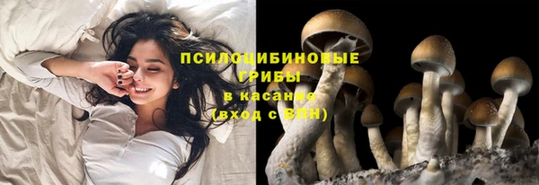 мет Медногорск