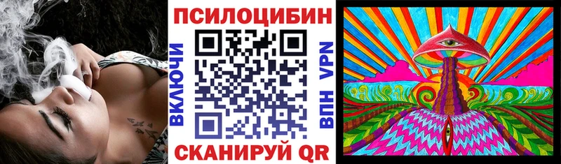 Галлюциногенные грибы Psilocybe  Купить где  Пенза 